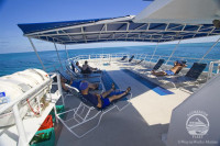 Belize Aggressor IV Liveaboard Details 2