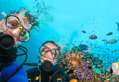 Divers diving in the Red Sea by Liveaboard