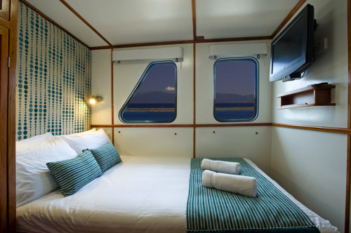 Spirit of Freedom Ocean View Standard Cabin