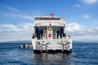 Atlantis Azores Liveaboard Details 11