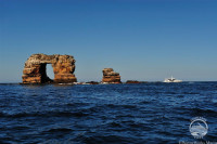 Galapagos Aggressor III Liveaboard Details 8
