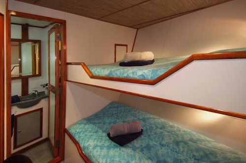 Ocean Hunter III Deluxe Cabin