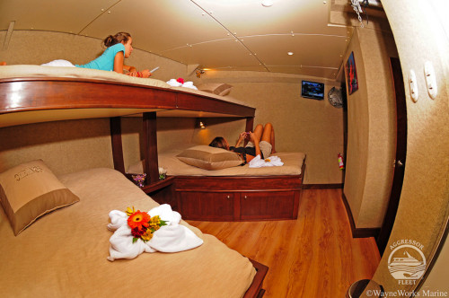 Okeanos Aggressor I Quad Stateroom Cabin