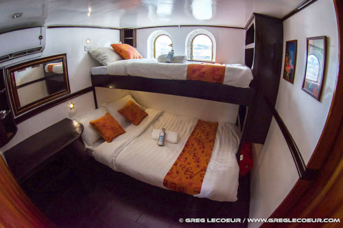 Seadoors Standard (Main Deck) Cabin