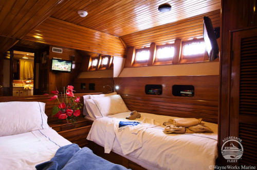 Galapagos Aggressor III Deluxe Stateroom Cabin