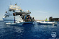 Red Sea Aggressor I Liveaboard Details 11