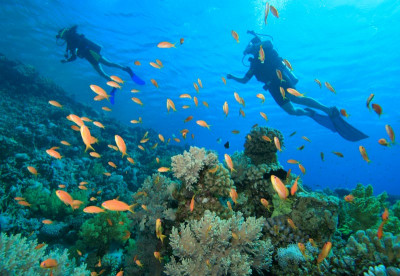 Scuba diving the Bahamas