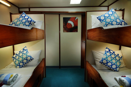 Solomons PNG Master Standard Twin Cabin