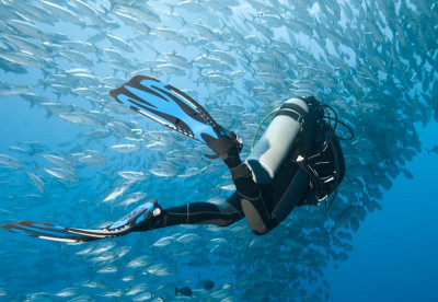 Liveaboard Diving in the Philippines