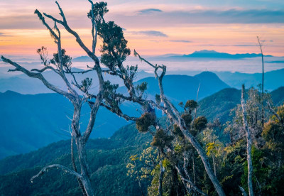 Papua New Guinea - Wild Landscapes