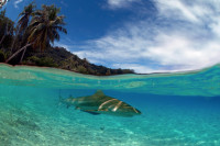 French Polynesia Master Liveaboard Details 2