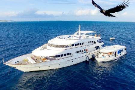 Carpe Diem Liveaboard
