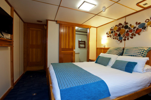 Spirit of Freedom Stateroom Cabin