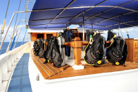 Palau Siren Liveaboard Details 5