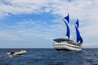 Indo Siren Liveaboard Details 4
