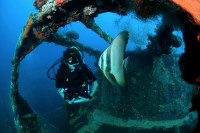 Palau Siren Liveaboard Details 15
