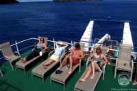Okeanos Aggressor I Liveaboard Details 13
