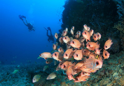 Liveaboard Diving - Turks and Caicos