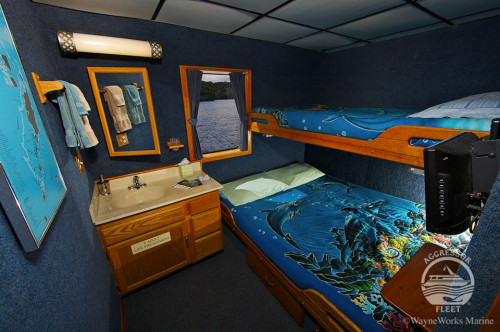 Rock Islands Aggressor Stateroom Cabin