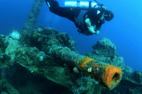 Palau Siren Liveaboard Details 19