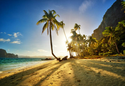 Philippines diving holidays