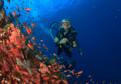 Diver in Indoensia diving via Liveaboard boat