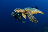French Polynesia Master Liveaboard Details 7
