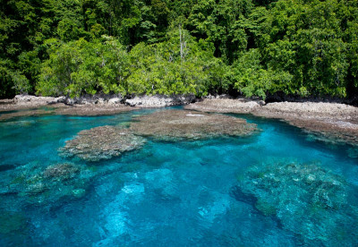 Reef Diving - Solomon Islands