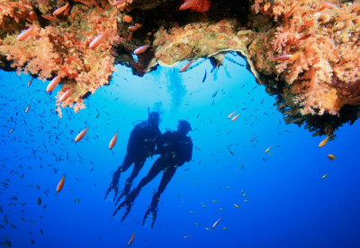Liveaboard Diving in the Seychelles