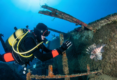 Liveaboard Diving the Red Sea, Egypt - Wreck Diver
